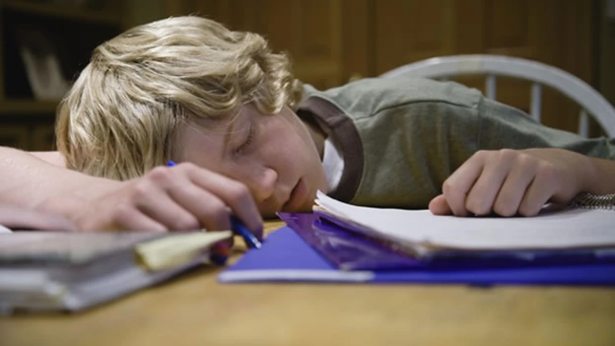 Un niño duerme entre útiles escolare en una mesa