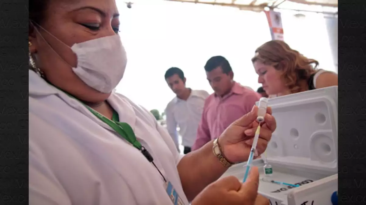 vacunacion influenza a h1n1
