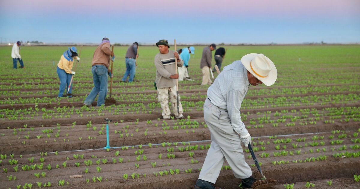 REMESA RÉCORD: MÁS DE 5 MIL MILLONES DE DÓLARES LLEGAN A MÉXICO