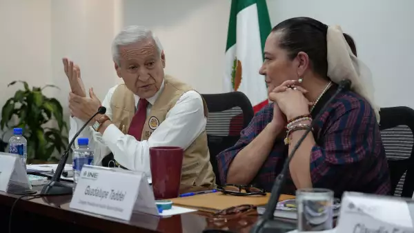 observadores-internacionales-ine.jfif