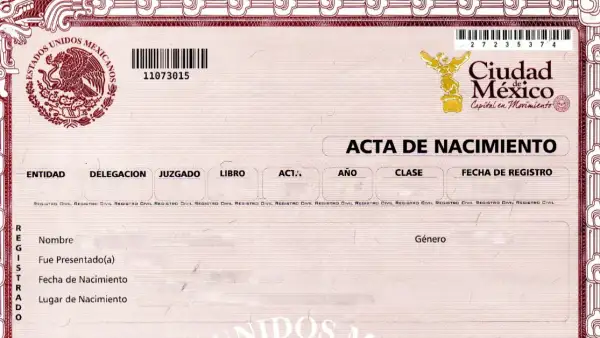 Un ejemplo de acta de nacimiento en color rosa con algunos datos censurados.jpg