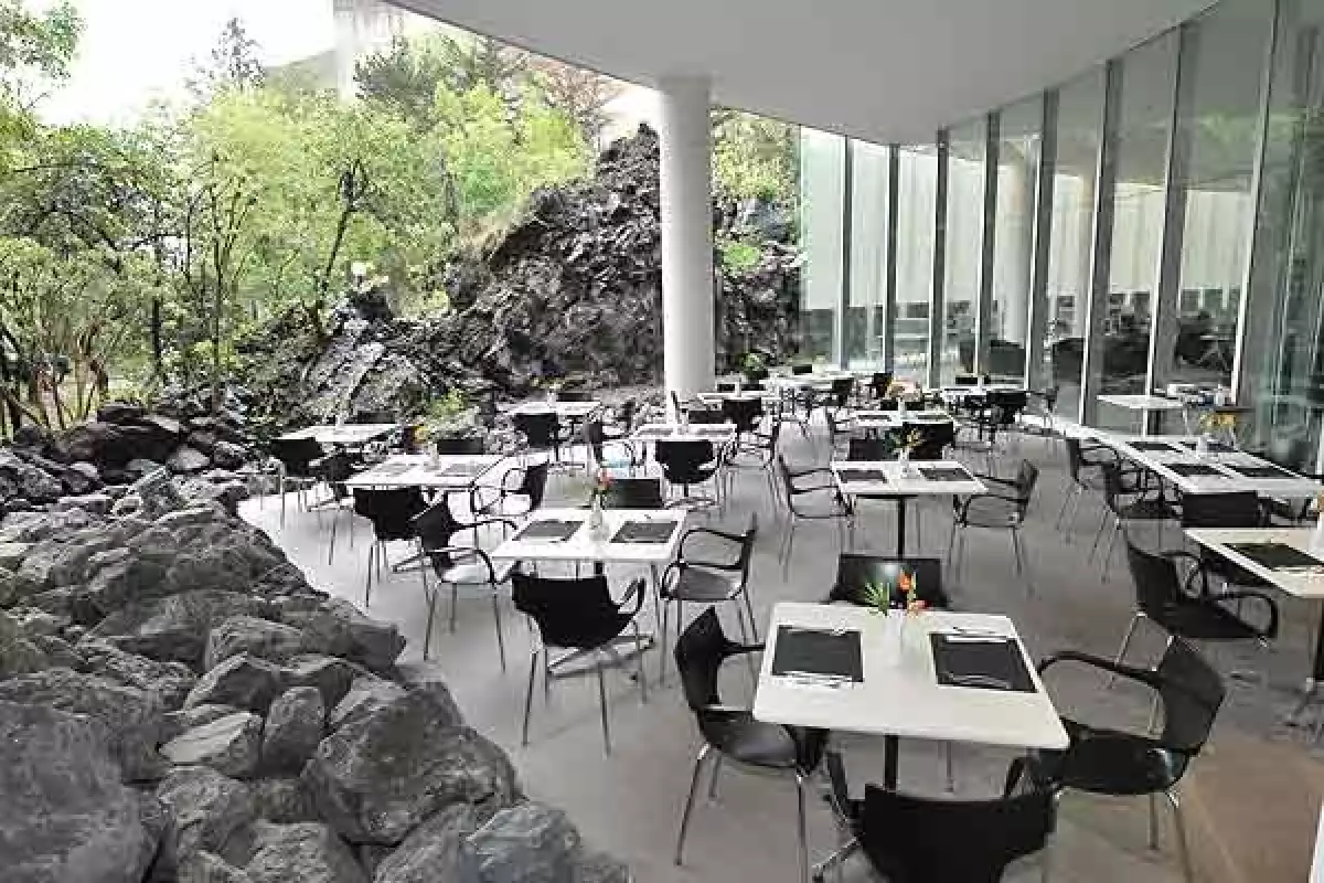 Las piedras volcánicas ofrecen un entorno inigualable 