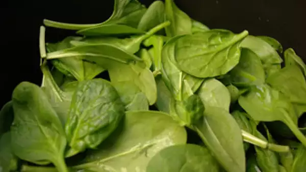 Las espincas ayudan a mantener el buen humor y son ricas en ácido fólico. (Foto: Cortesía SXC)