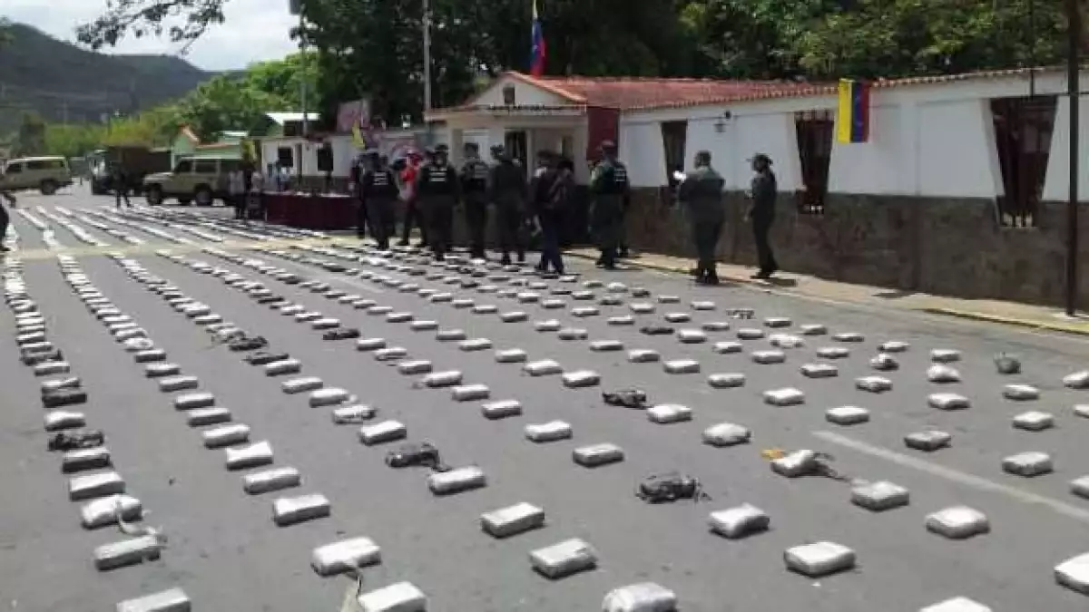 La cocaína decomisada tras estrellarse una avioneta en Cojedes, al norte de Venezuela