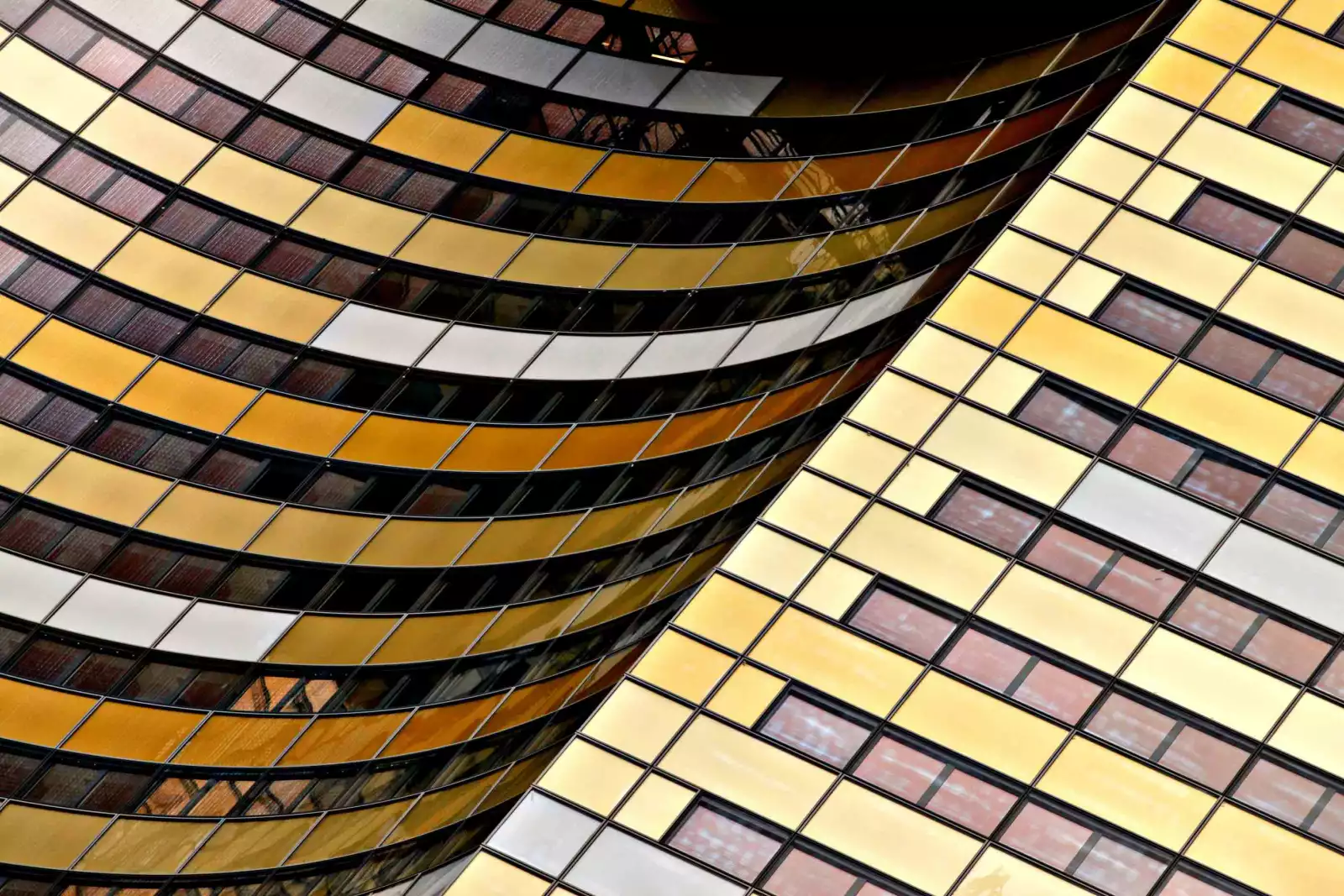 Portafolio Mattias Backstr�m16