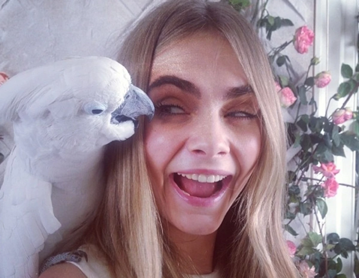 Cara ha participado en la última campaña publicitaria para Mulberry y ha sido espectacular, exótica, divertida y original.