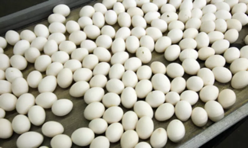 El arancel para el huevo de mesa era de 45% y del industrial del 20%. (Foto: AP)