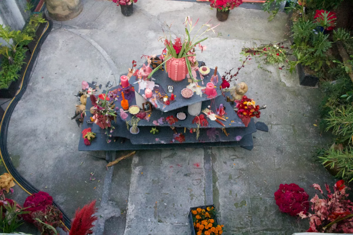 Foto del altar de muertos instalado en lagoalgo