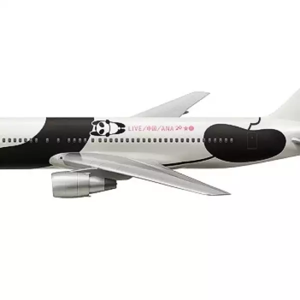 aviones diseños llamativos 2