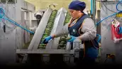 La revisión agro del T-MEC se da en medio de la caída de las exportaciones de México a EU