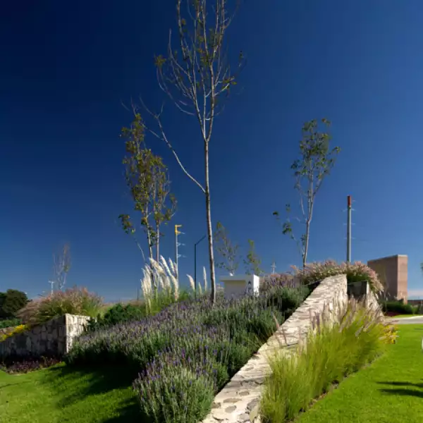 BOSQUES VALLARTA RESIDENCIAL