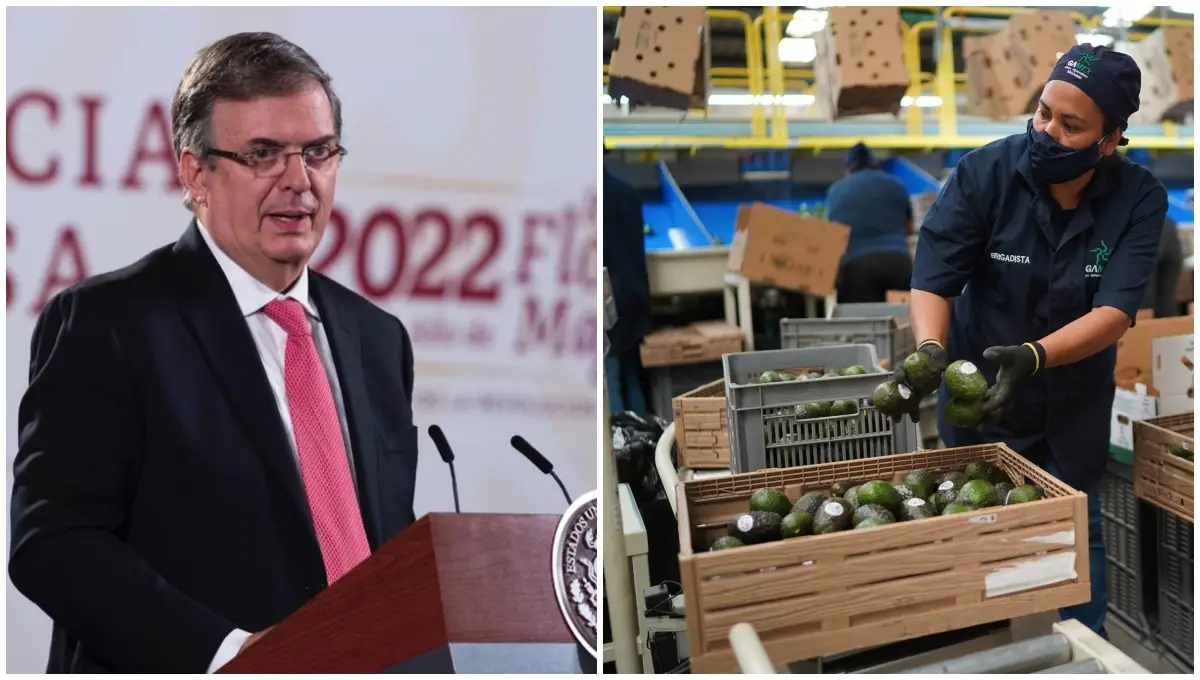 ebrard-aguacates.jpg