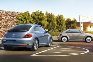 Beetle 02.jpg