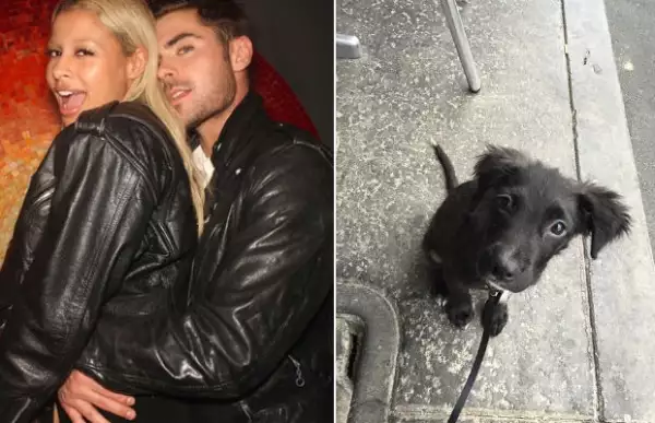 Zac Efron y Sami Miró muestran lo formal que se está volviendo su relación en tan pocos meses adoptando juntos a una nueva mascota.