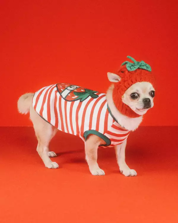 Gucci Lifestyle 1080x13502.jpg