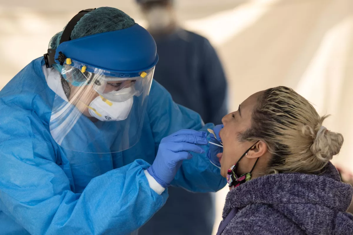 Pruebas de detección