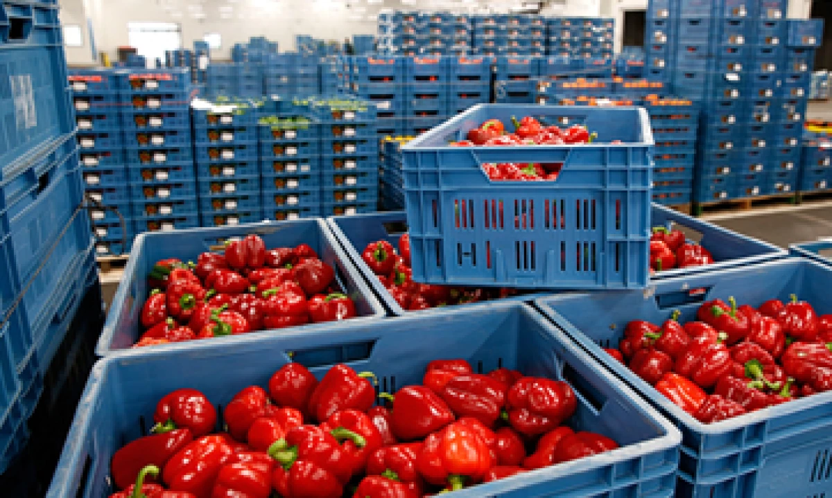 Algunos ciudadanos rusos aseguran que el veto impulsará la venta de productos originarios del país. (Foto: AFP)