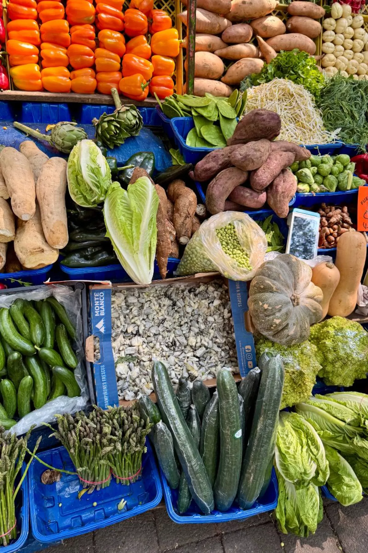Tianguis de los sábados en Polanco Ciudad de México