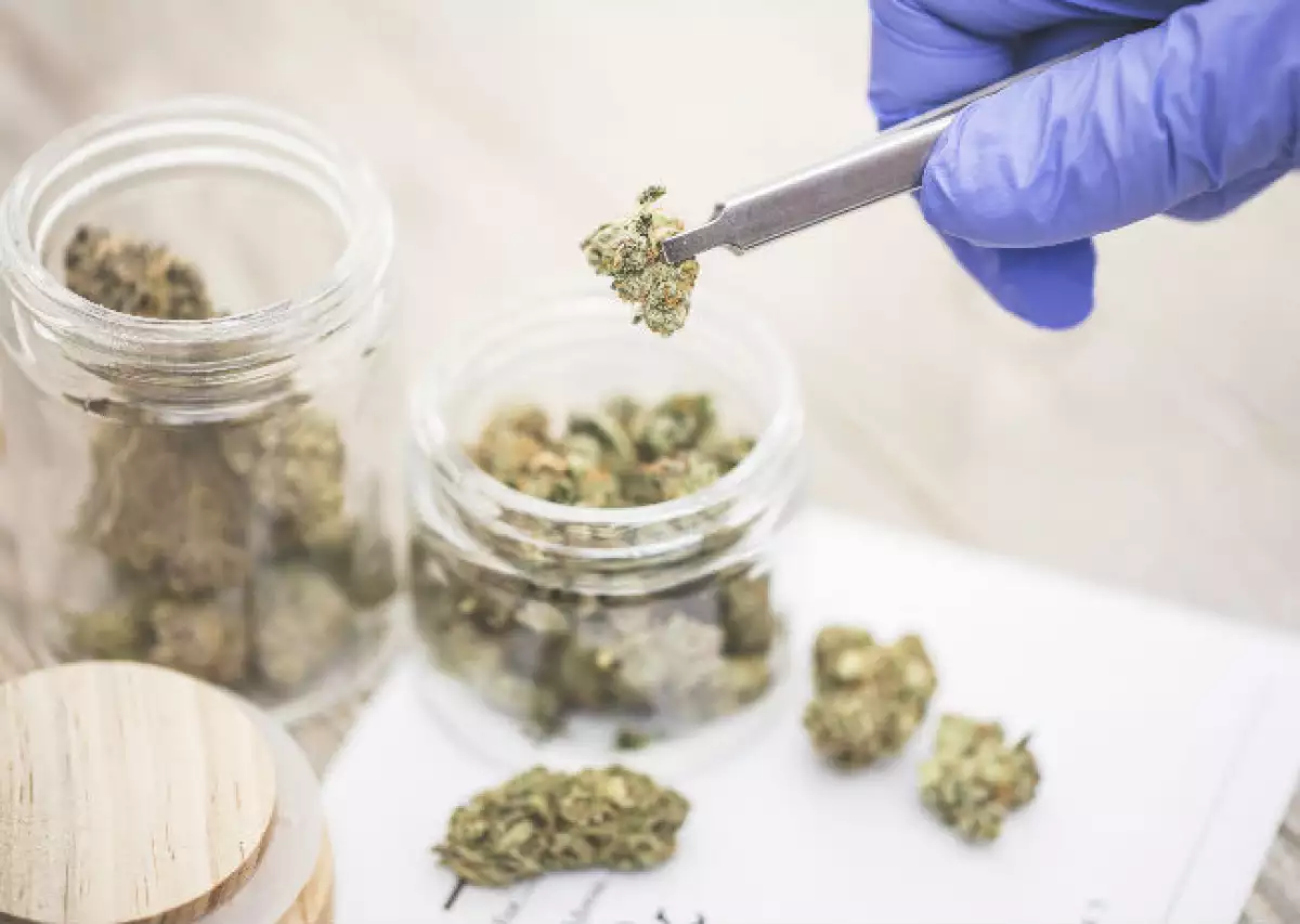 marihuana seca