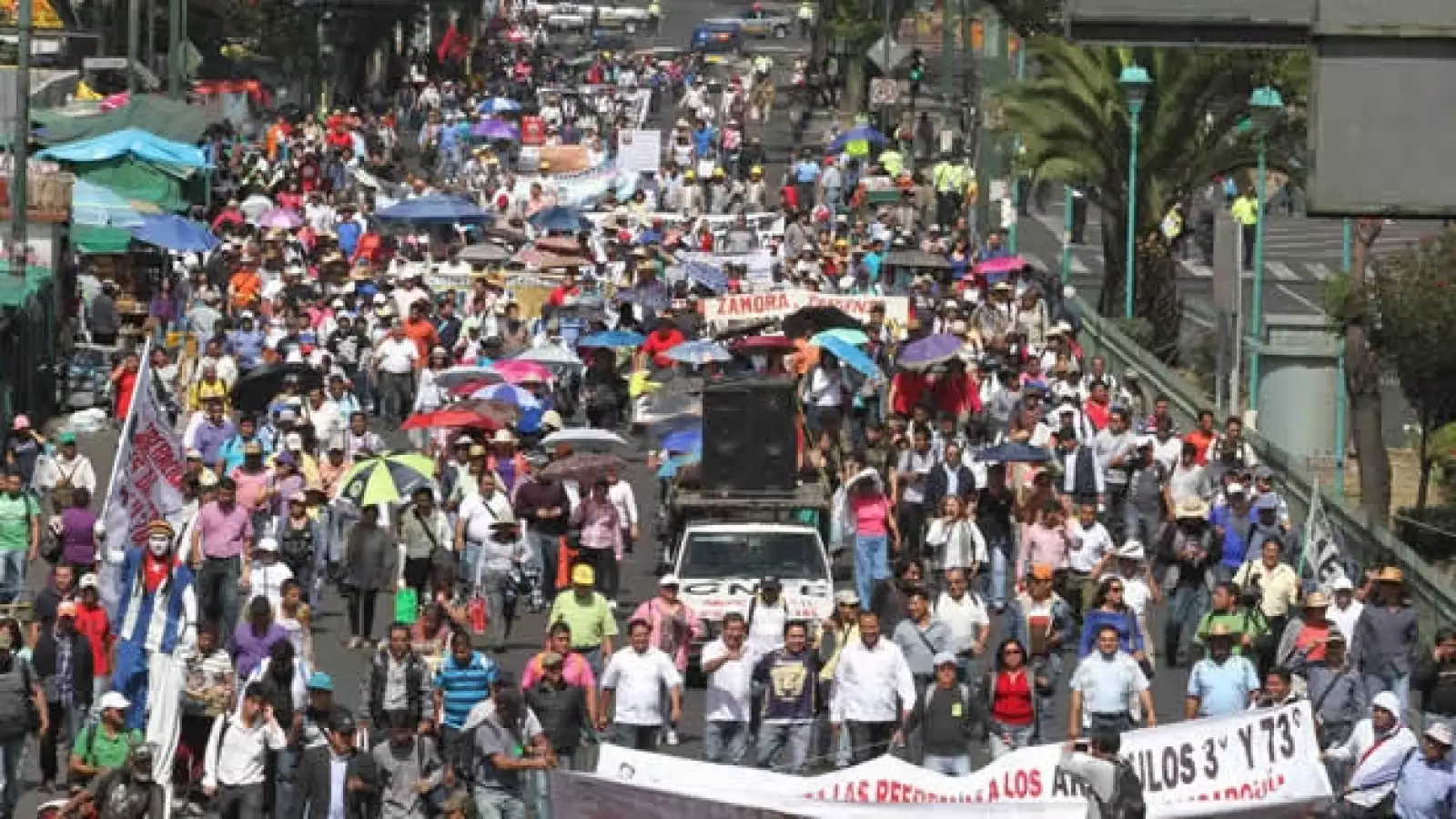 Maestros marcha DF 2