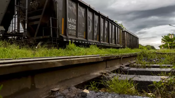Tren Maya