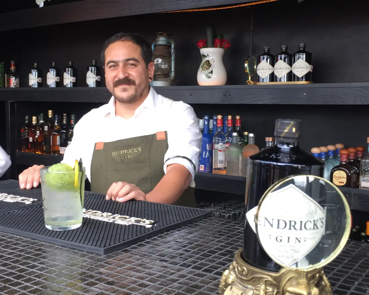 Recetas de Hendricks