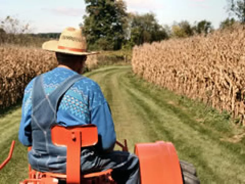 El campo mexicano tiene muchas carencias.  (Foto: Especial )