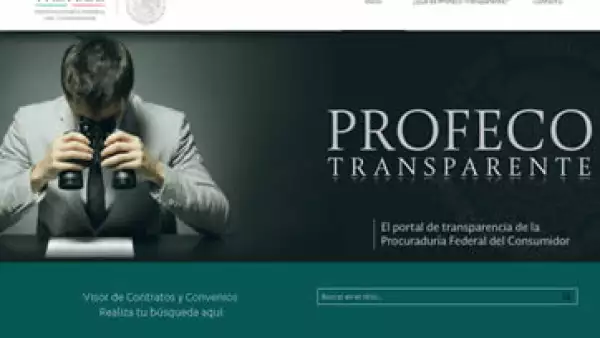 La página es una de las más novedosas en la materia, aseguró la dependencia. (Foto: Tomada de transparencia.profeco.gob.mx)