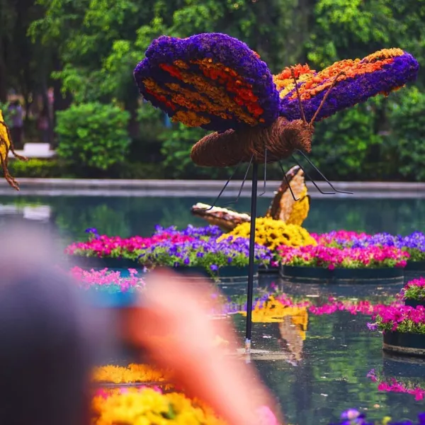 Fiesta de las Flores 2022