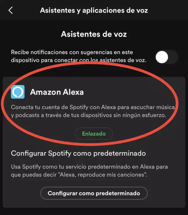 como-conectar-alexa-1