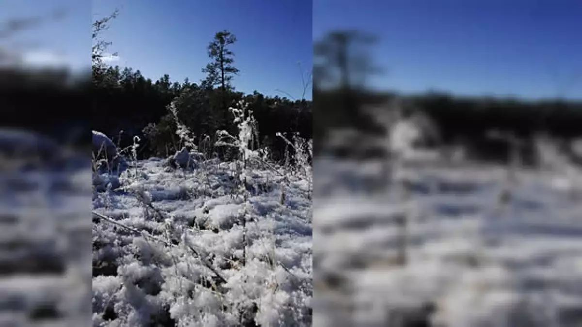 frio en durango