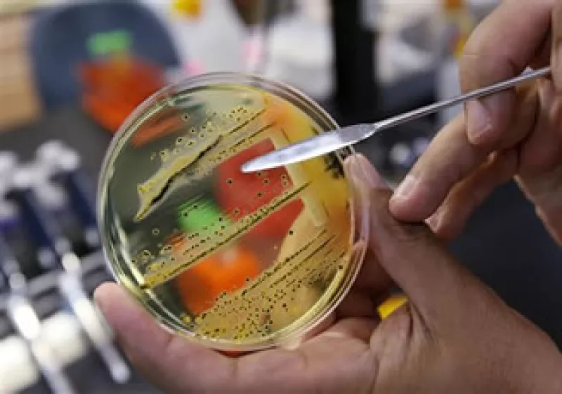 El brote de la cepa ha tensado las relaciones comerciales entre países europeos. (Foto: AP)