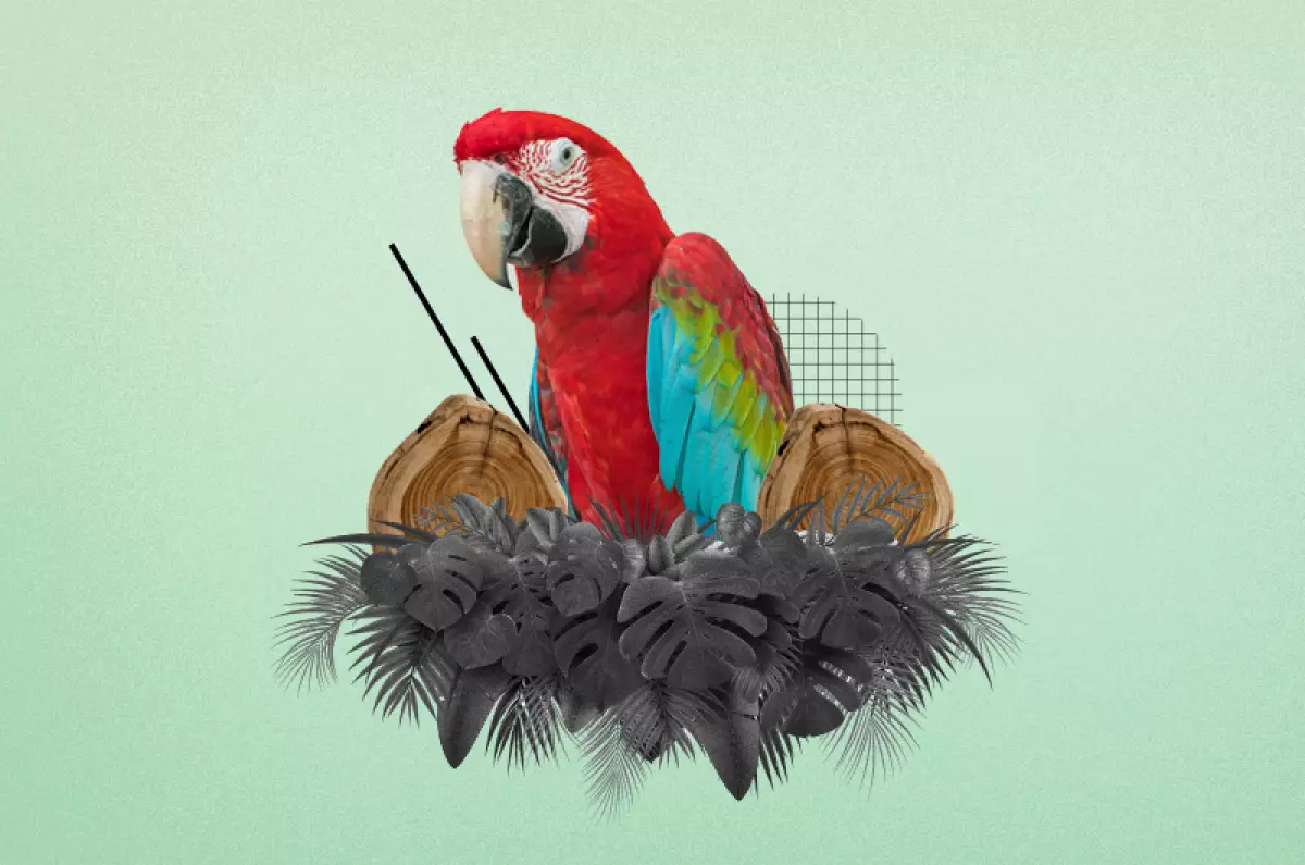 Selva-amazonica-desaparece