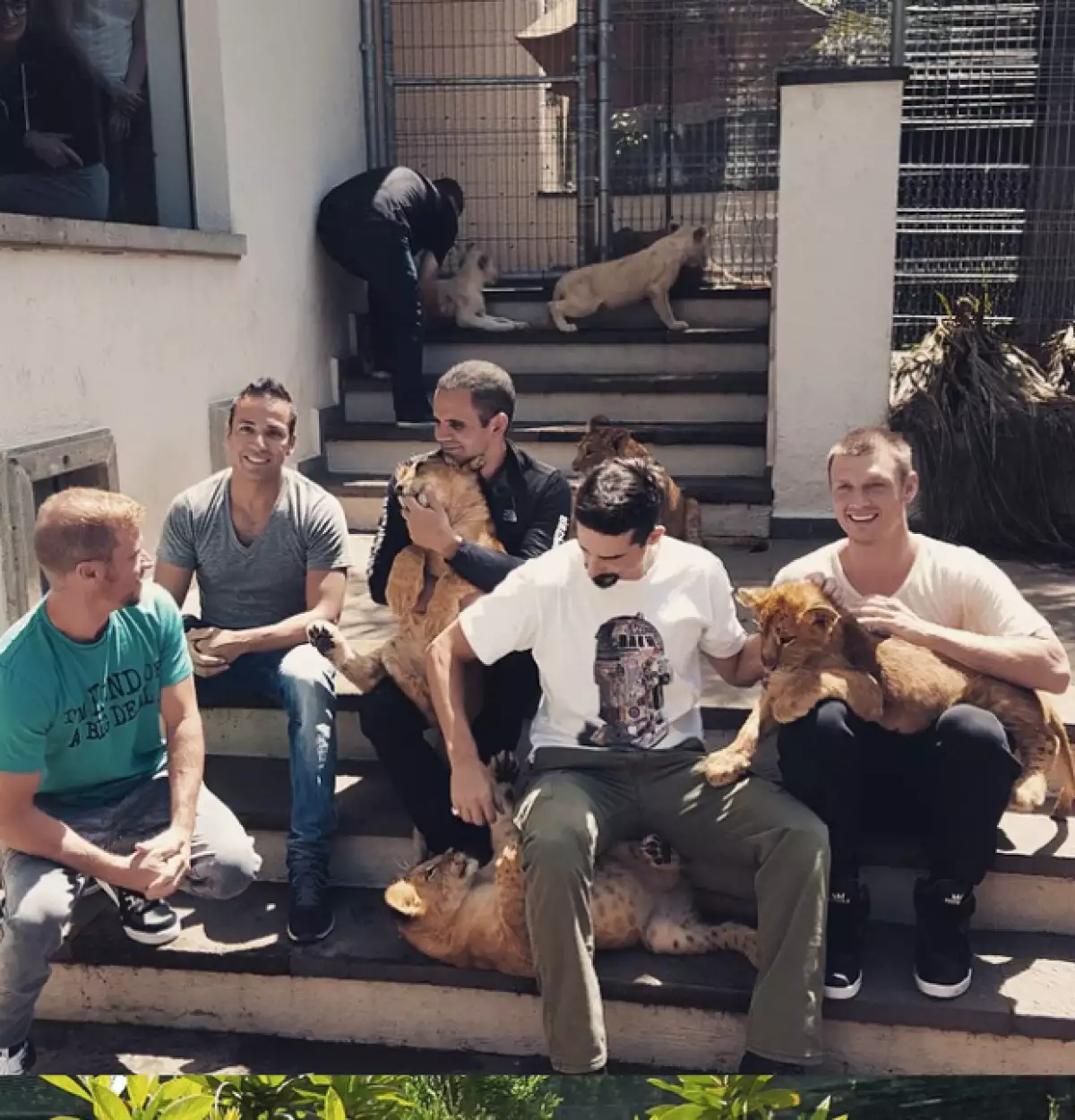 La banda convivió con tigres blancos en su visita a nuestro país.