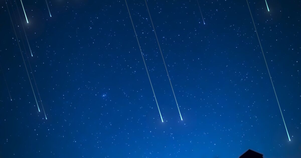 onları Meksika'da ne zaman ve nasıl göreceğiz