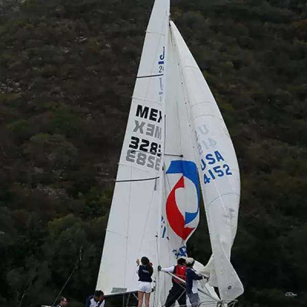 Copa de Vela
