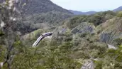 Descarrilamineto Tren Interoceánico