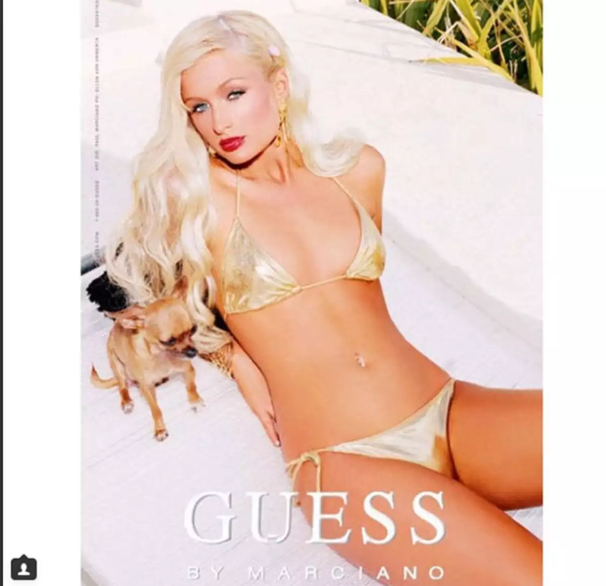 Junto a Paris, Tinkerbell se convirtió en la mascota "so hot" del momento.