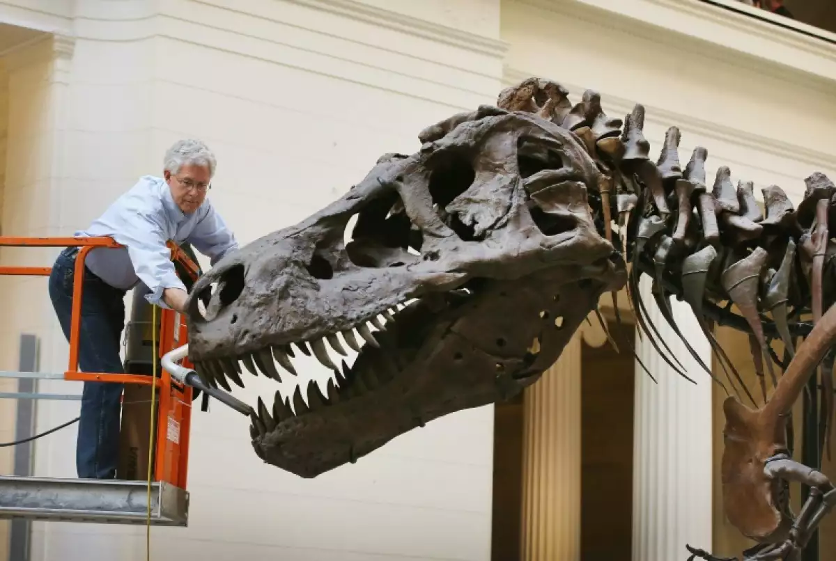 tiranosaurio-rex-suiza