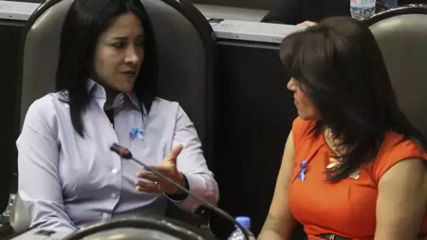 autismo_legisladoras