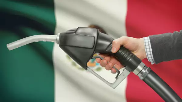 gasolina