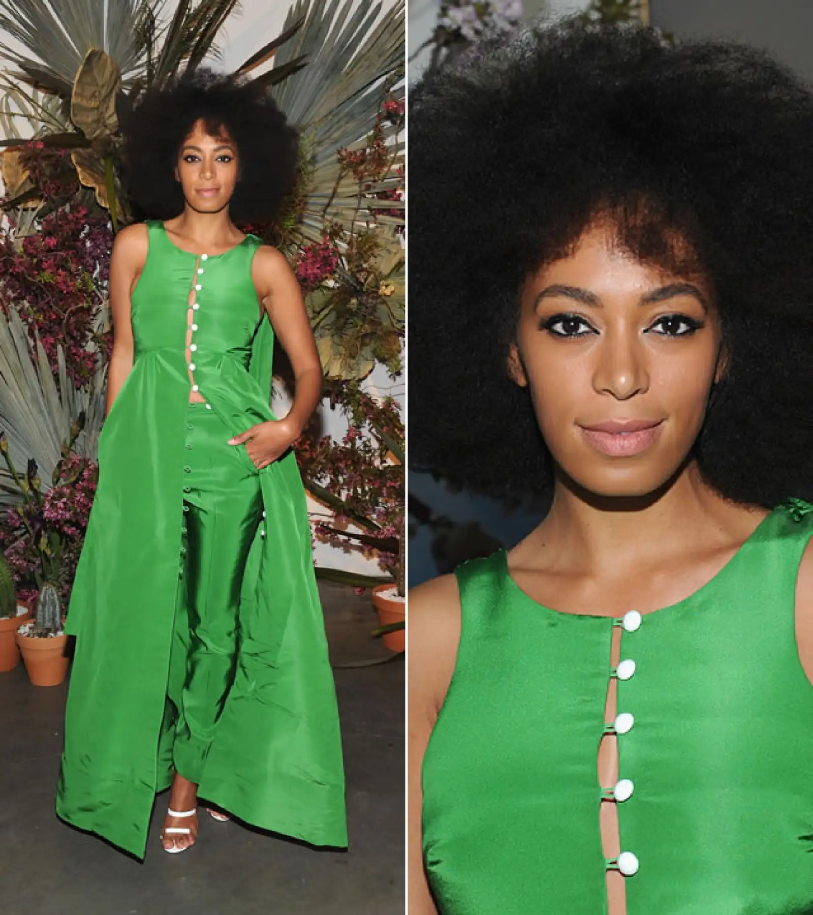 Pioneer Works Village Fete, 2015: En Brooklyn, Nueva York, la cantante llevó un two piece de pantalón y vestido tipo capa verde de Rosie Assoulin otoño 2015, con su clásico afro y un delineado tipo cat eye.
