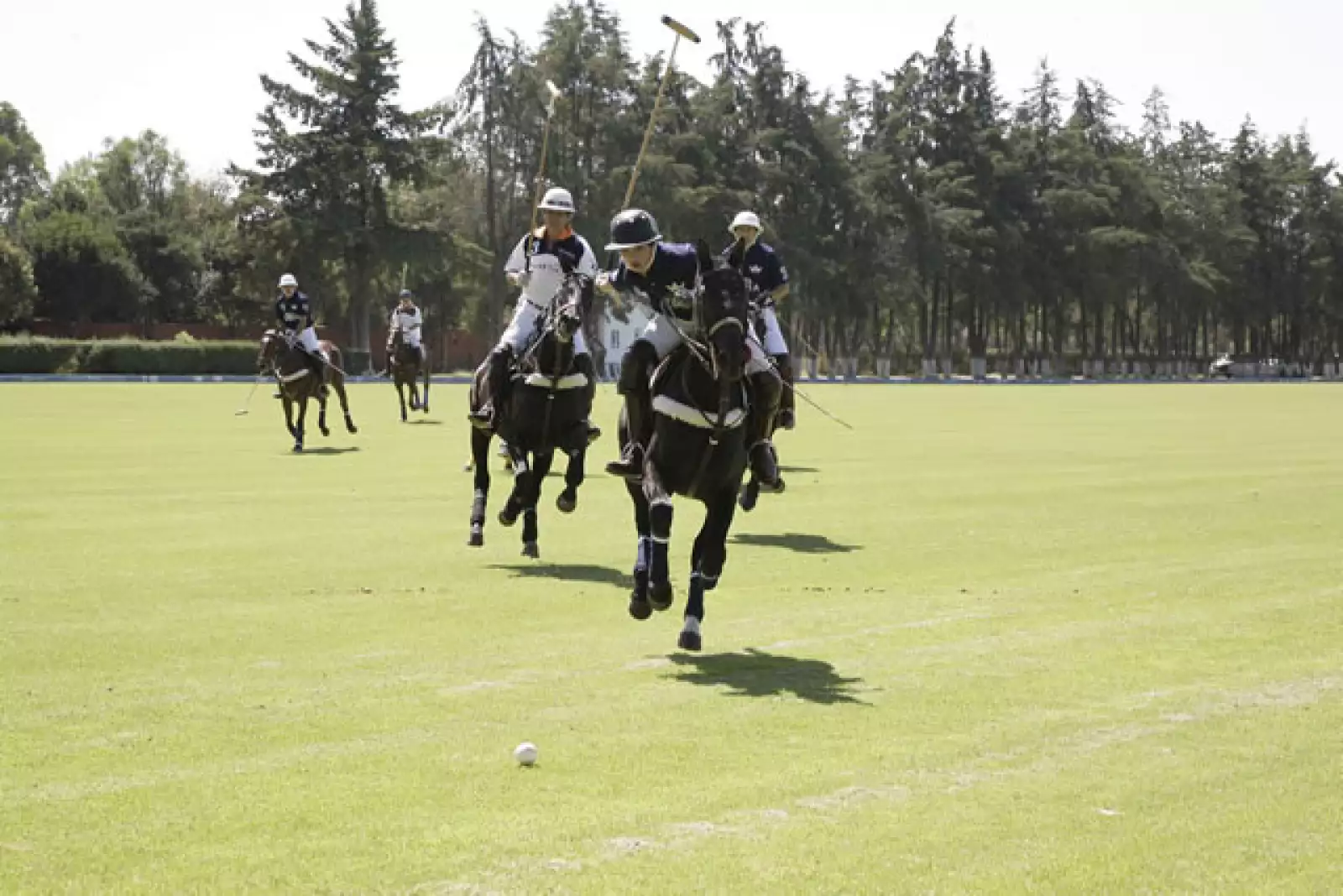Torneo de Polo