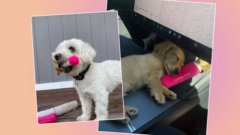 Selena Gomez lanza productos de Rare Beauty para perritos