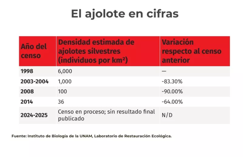 ajolote censo.jpg