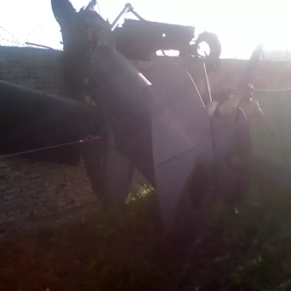 fotografia de las afueras de la guarida