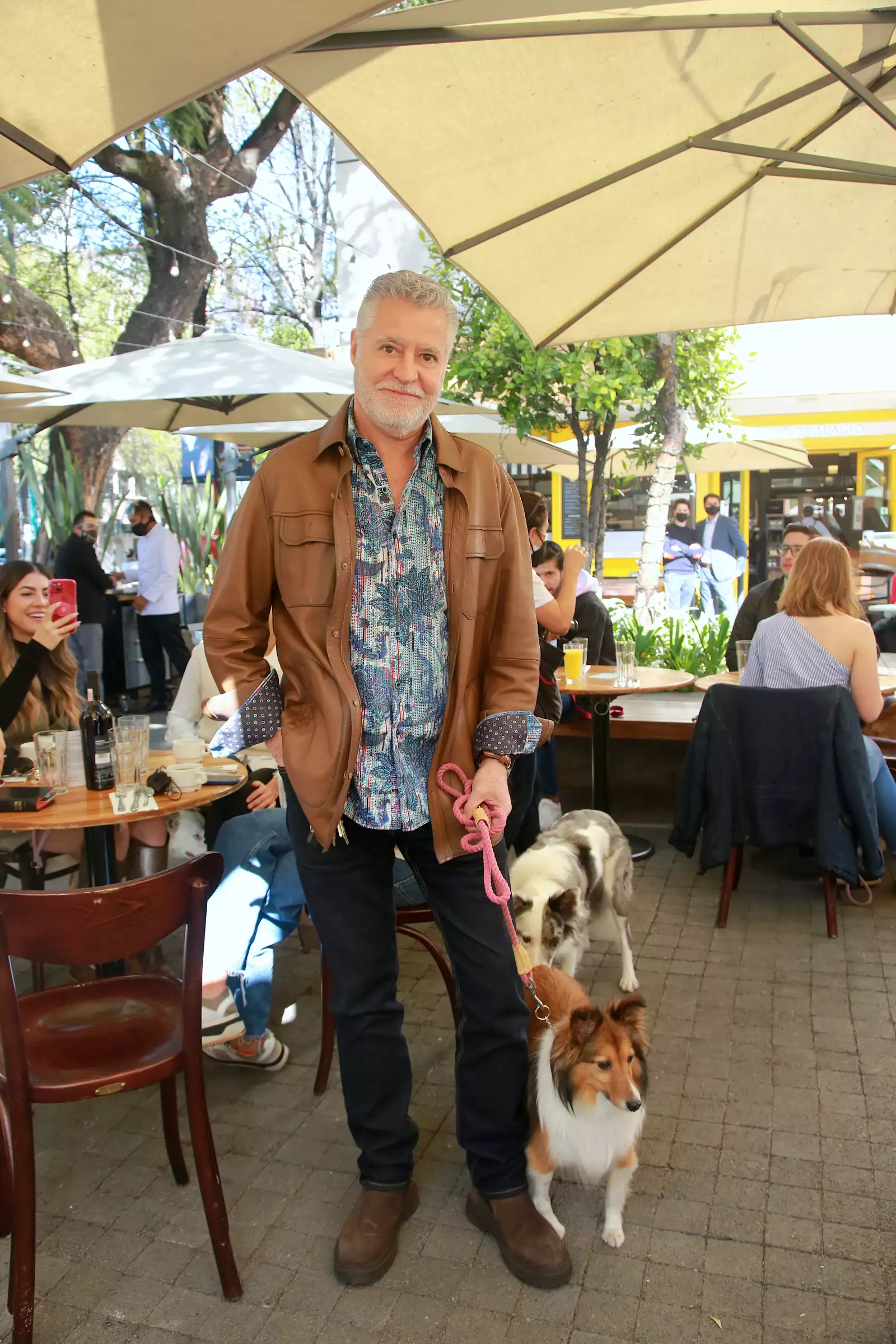 HAPPY YOU ARE HERE!!! ARISTOPET