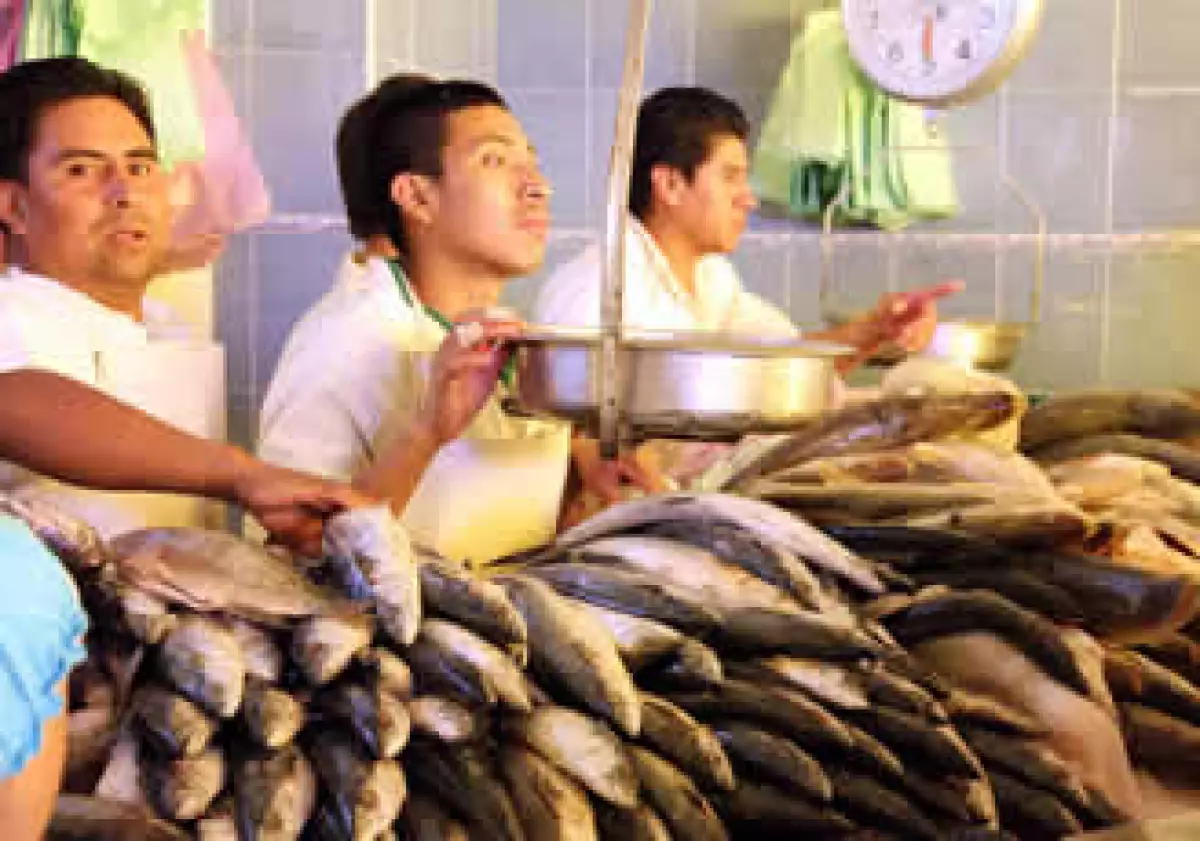 Conapesca reportó el consumo de otras especies no habituales, como la mojarra, atún o sardina. (Foto: Notimex)