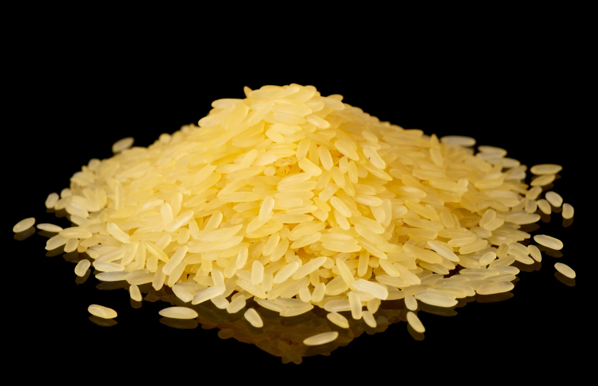 Expertos aseguran que este grano podría ayudar a combatir la hambruna en África debido a su alto contenido de vitamina A.