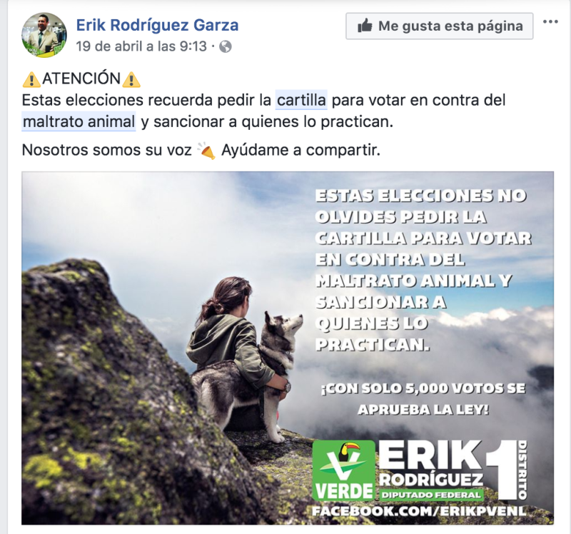 Oportunismo